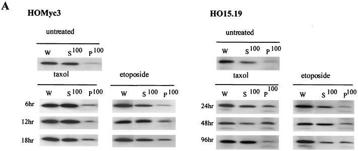 FIG. 9