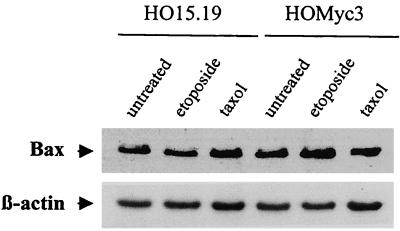 FIG. 8