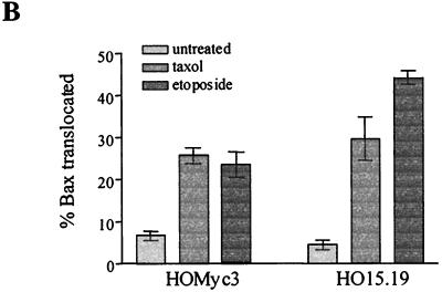 FIG. 9