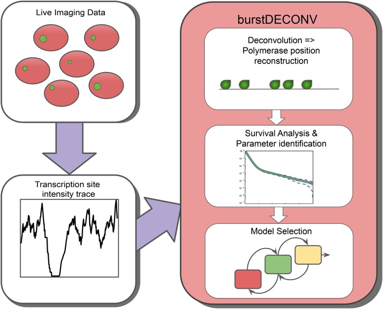 Graphical Abstract