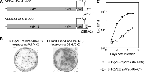 FIG. 6.