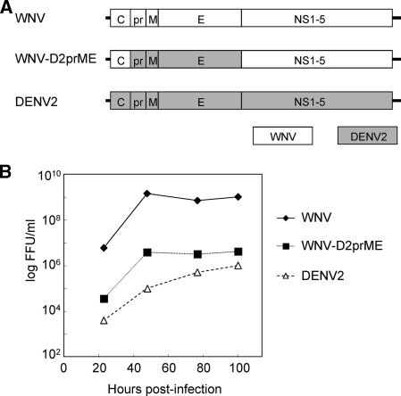 FIG. 1.