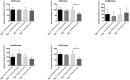 Supplementary Fig. 3