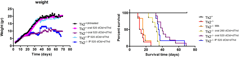 Supplementary Fig. 4