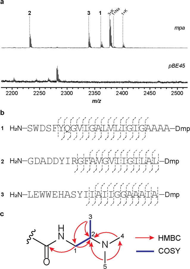 Fig. 2: