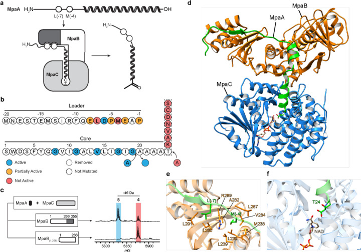 Fig. 4: