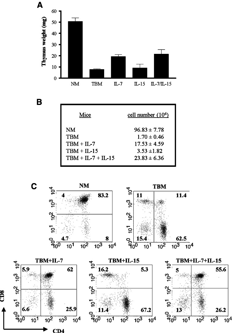 Fig. 8