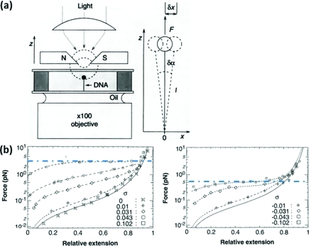 Figure 29