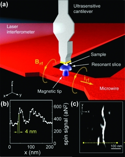 Figure 30