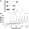 Figure 26