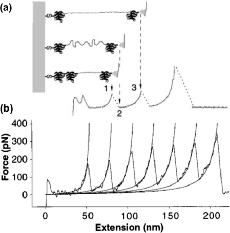 Figure 26