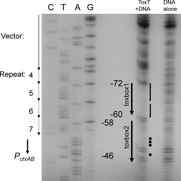 Fig 5