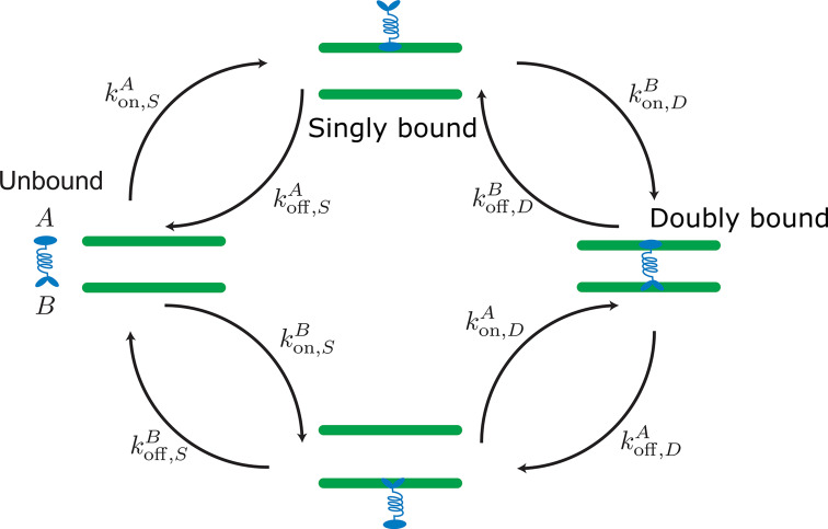 Appendix 2—figure 1.