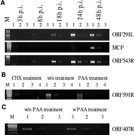 FIG. 7.