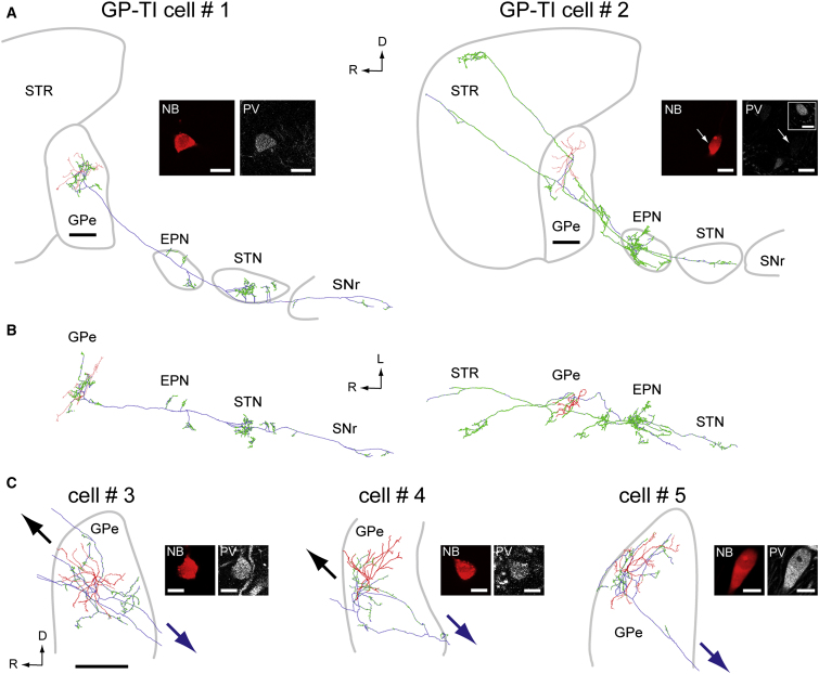 Figure 3