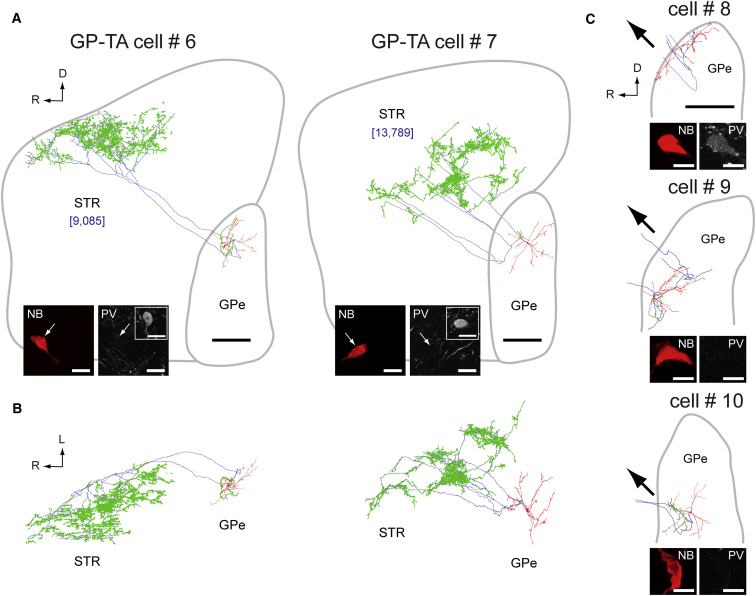 Figure 4