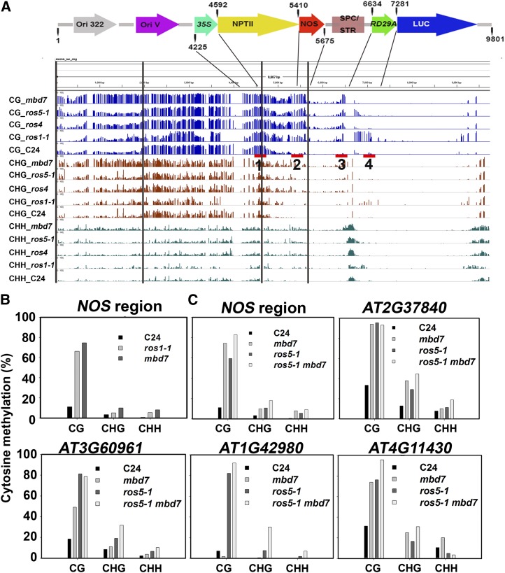 Figure 2.