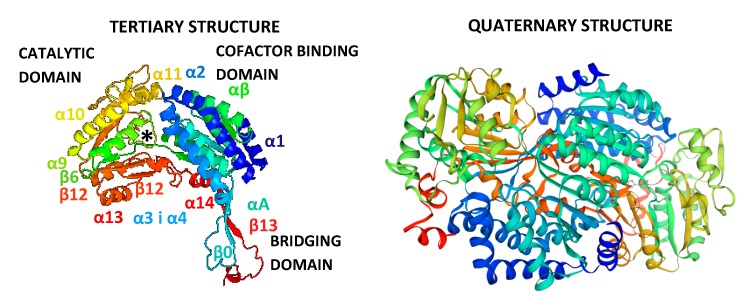 Figure 10