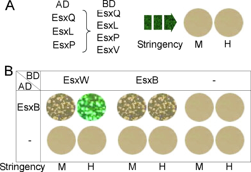 FIG. 6.