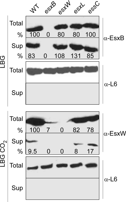 FIG. 5.