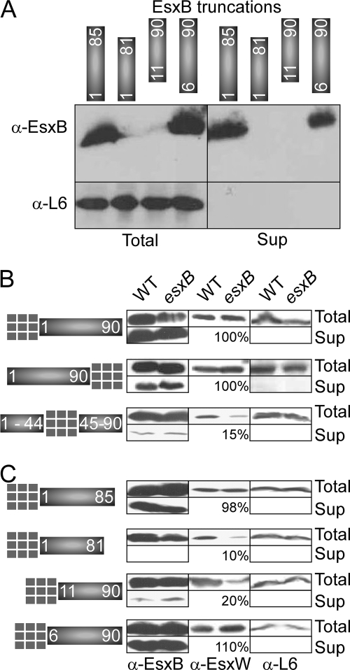 FIG. 7.