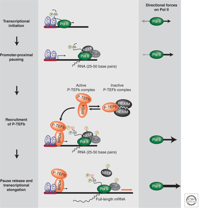 Figure 11.