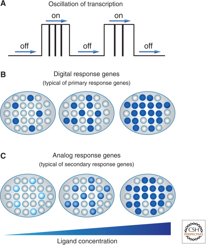 Figure 10.