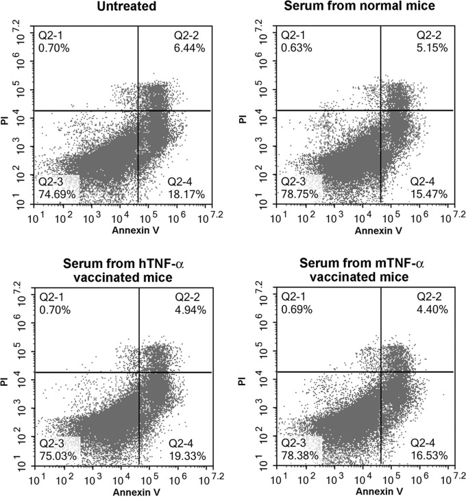 FIG 6