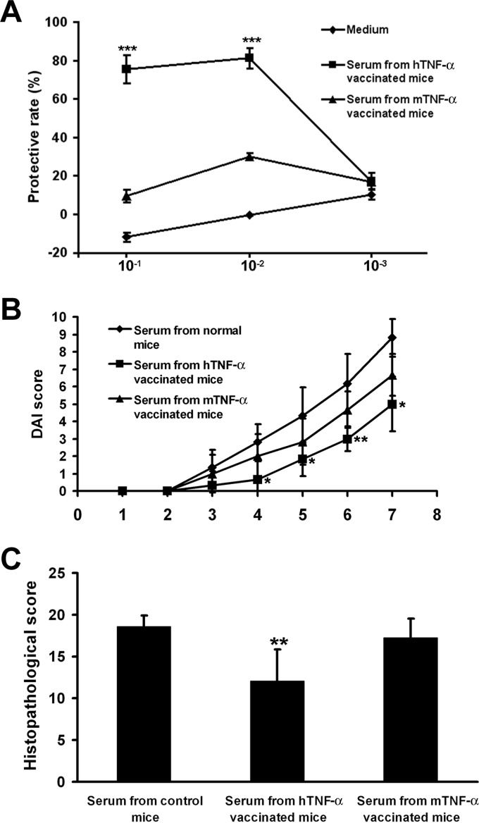 FIG 5