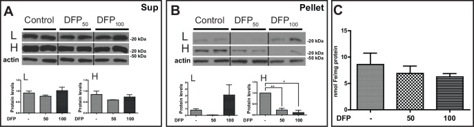 Fig 8