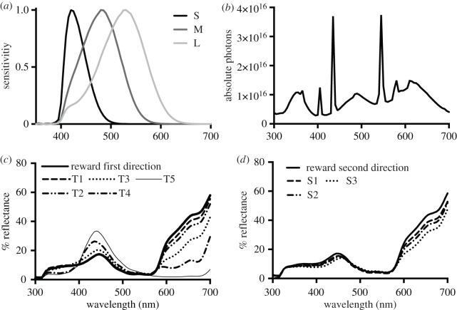 Figure 1.