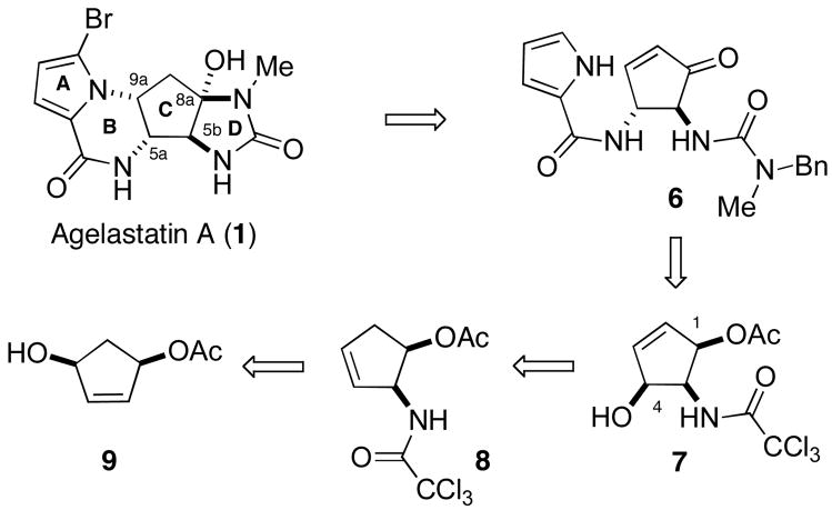 Scheme 1