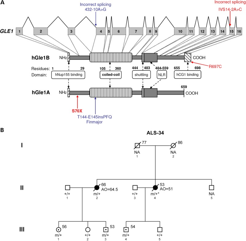 Figure 1.