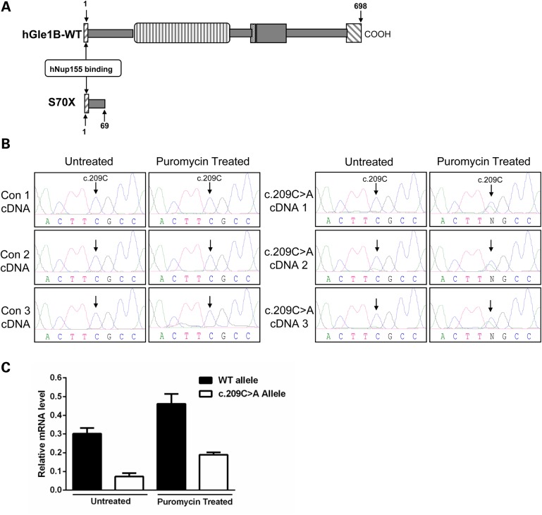 Figure 2.