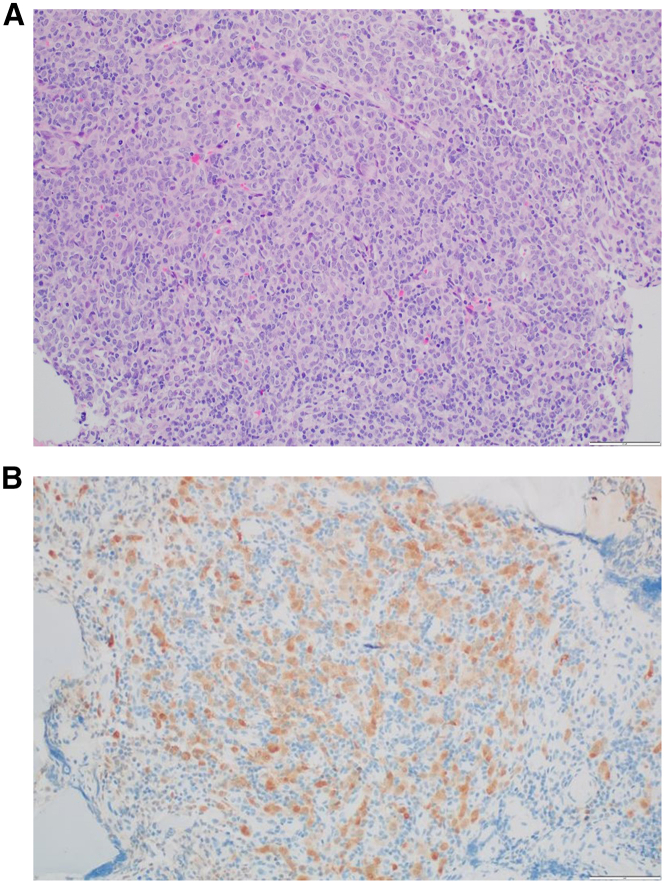 Figure 2