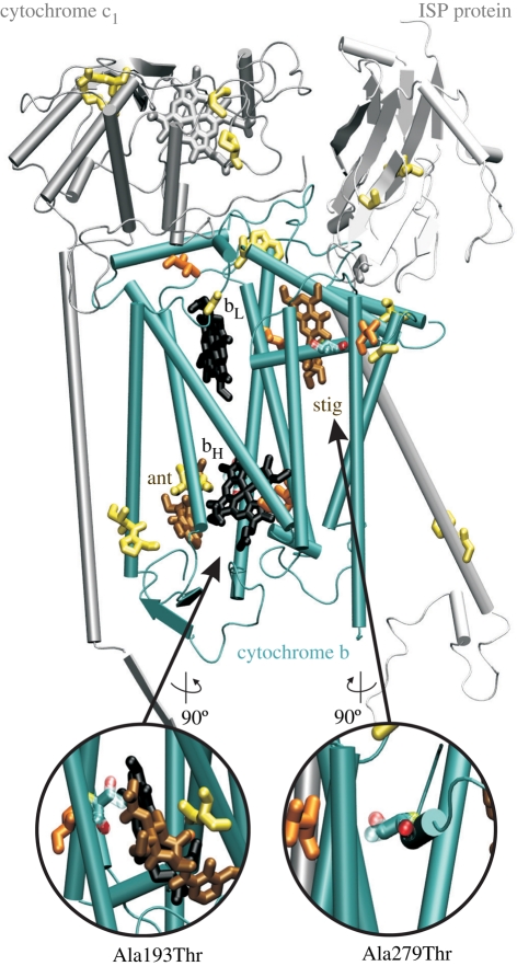 Figure 1.