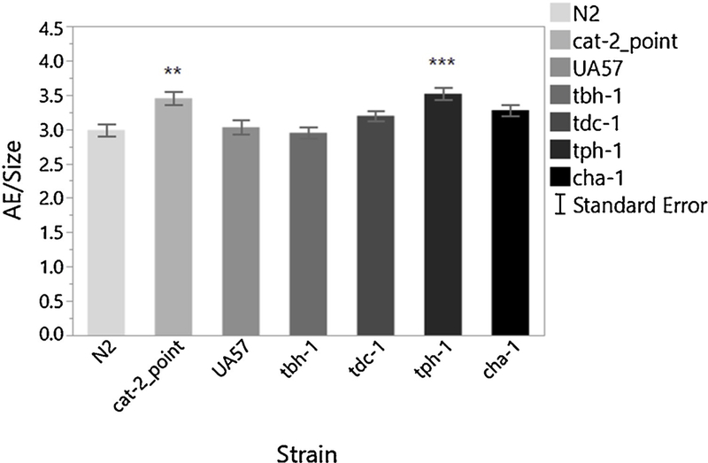 Figure 6 -