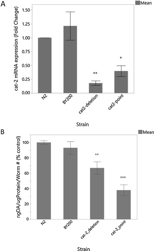 Figure 7 -