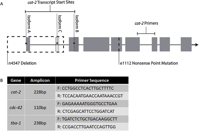 Figure 2 -