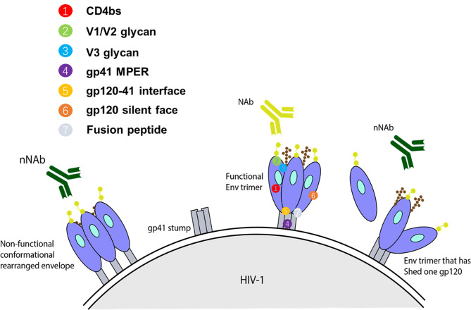 Figure 1