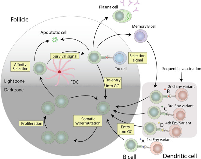 Figure 2