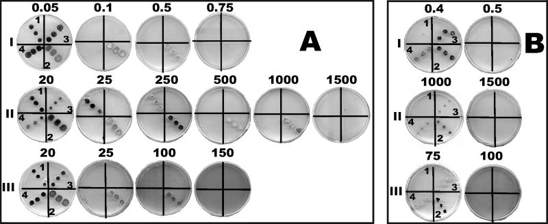 FIG. 5.