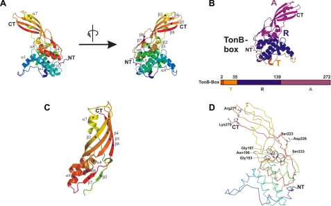 FIGURE 2.