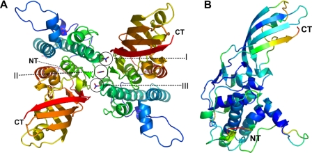 FIGURE 1.