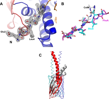 FIGURE 3.