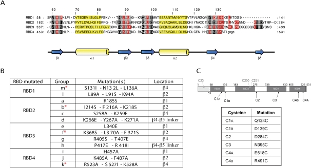 FIGURE 1.