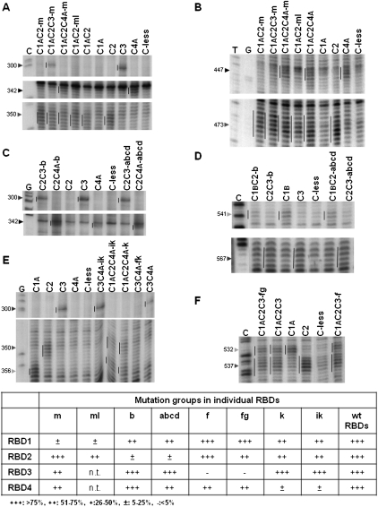 FIGURE 4.