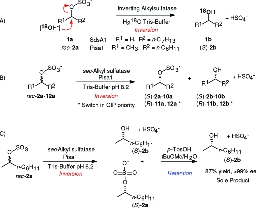 Scheme 2