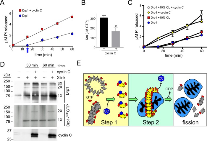 FIGURE 4: