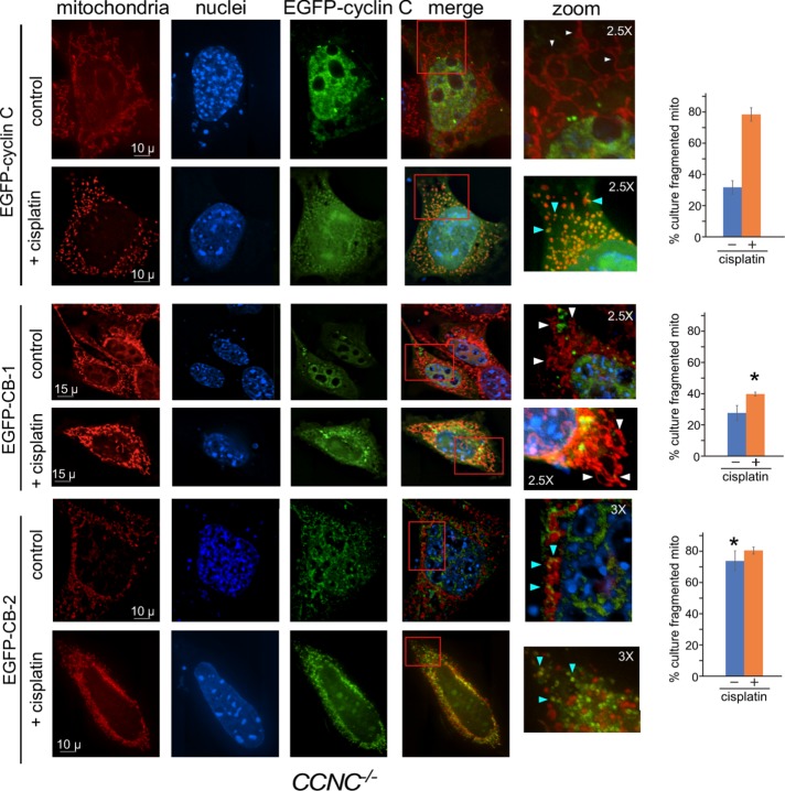 FIGURE 2: